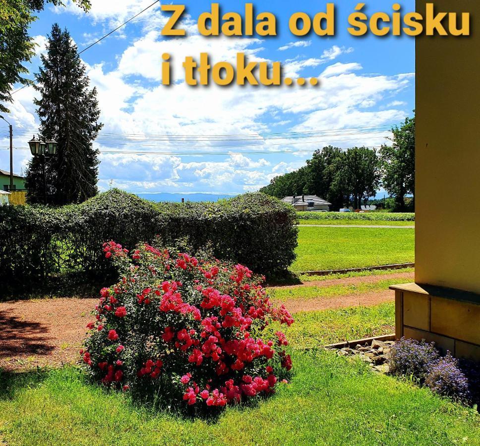 Palac Bazantarnia Pless Exterior foto