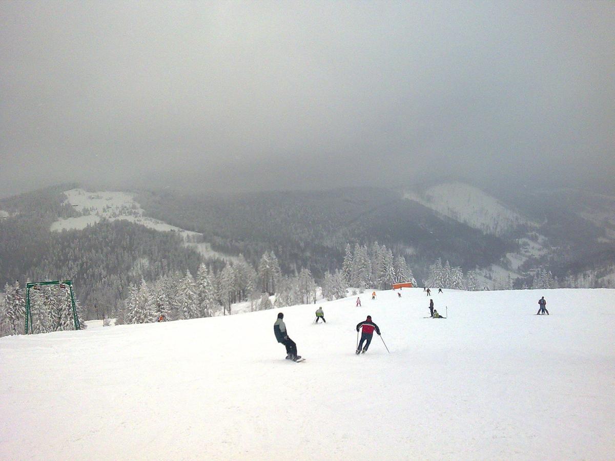 Palac Bazantarnia Pless Exterior foto